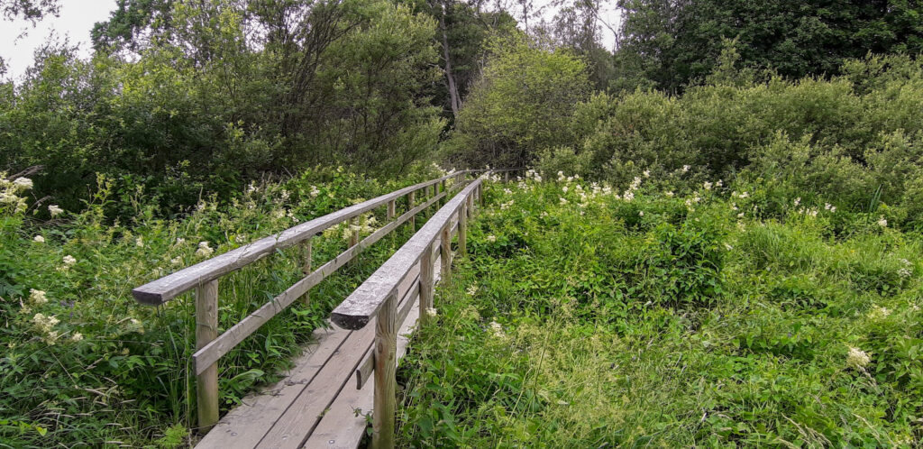 Podél řeky Vantaa