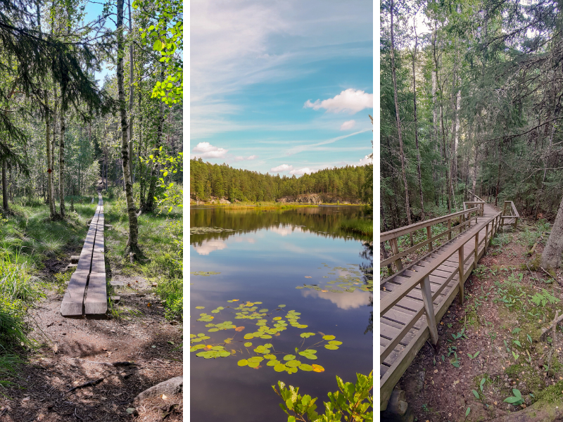 Národní park Nuuksio 