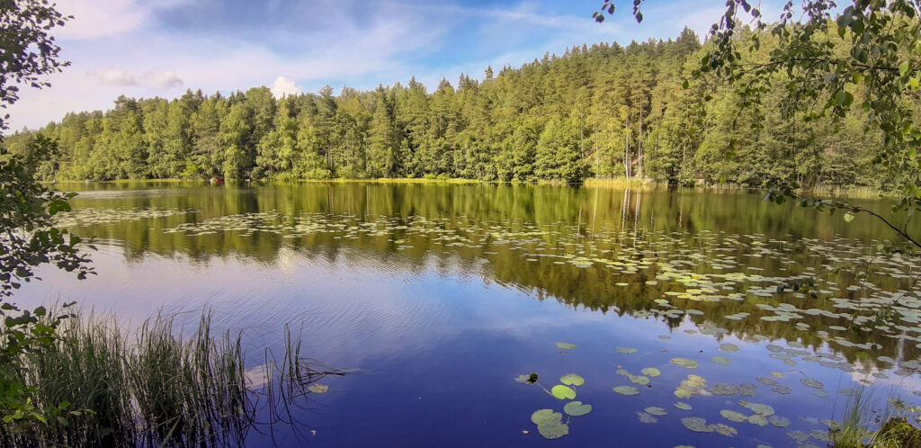 Nuuksio jezero