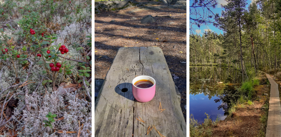 Nuuksio brusinky a pauza na kávu